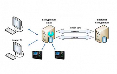 Smartec Timex SDK интеграция со сторонними системами